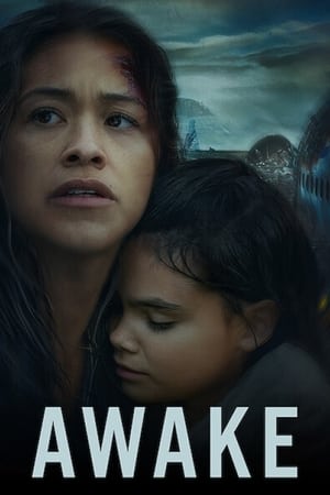 Awake (2021) Hindi Dual Audio 300MB