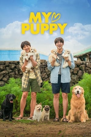 My Heart Puppy (2022) Hindi Dual Audio –