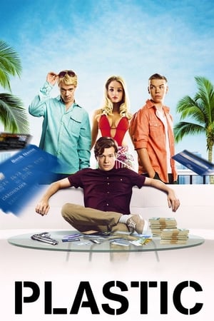 Plastic (2014) Hindi Dual Audio – 480p